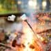 Roasting marshmallows on stick at bonfire. Having fun at camp fire. Camping in fall forest.
