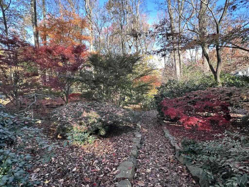MapleWalk Garden