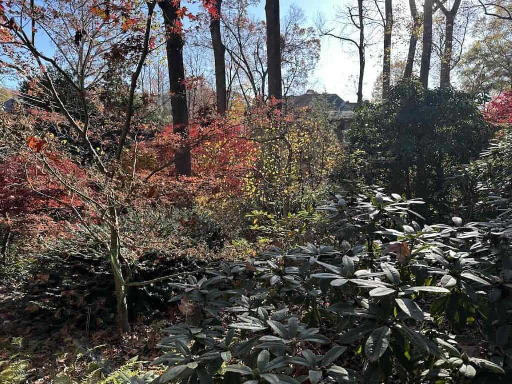 MapleWalk Garden