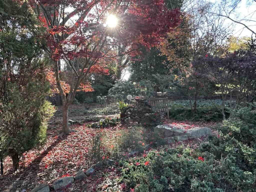 MapleWalk Garden