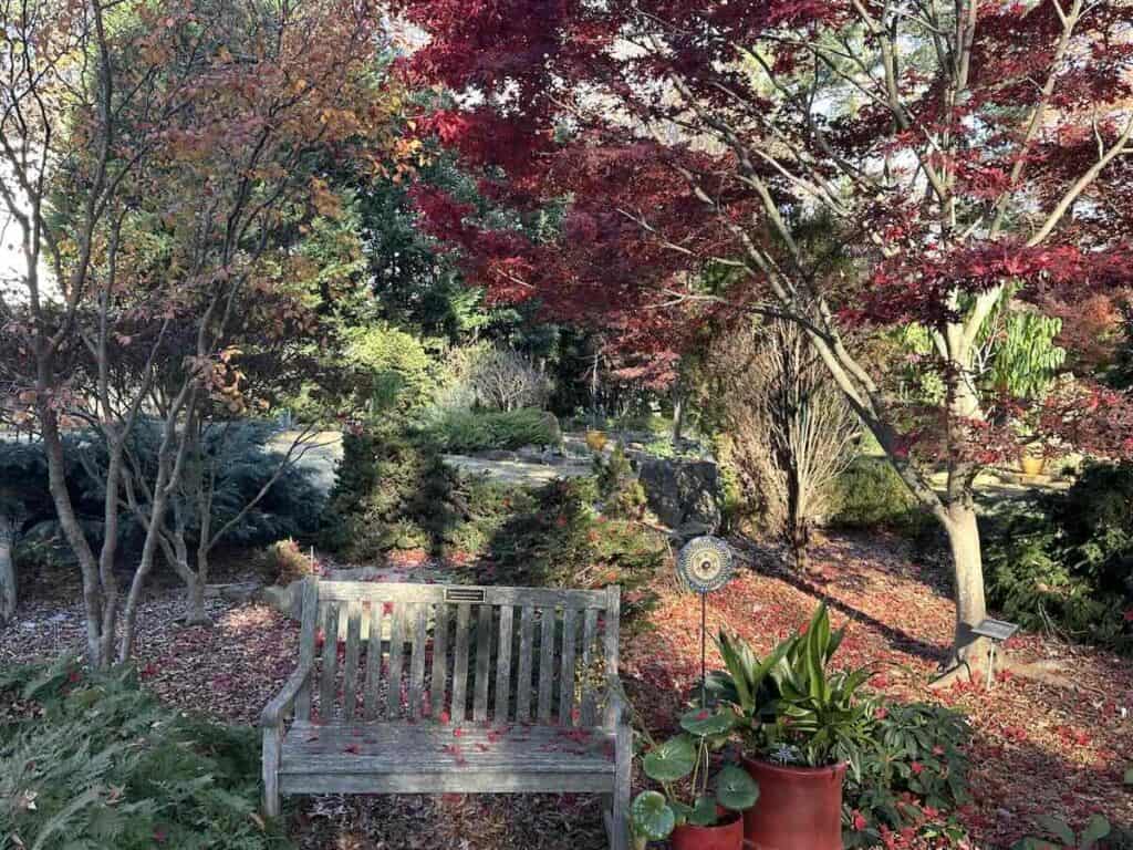 MapleWalk Garden