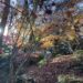MapleWalk Garden