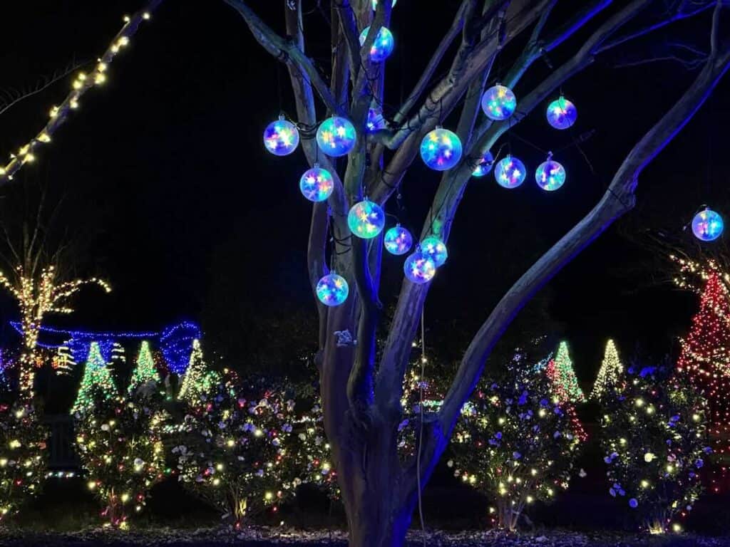 Holidays at the Garden