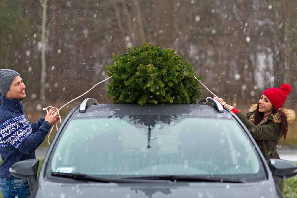 tying christmas tree to top of car