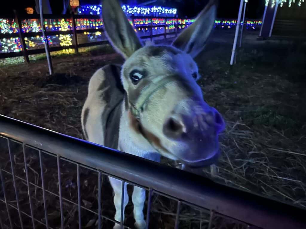 Christmas on the Farm