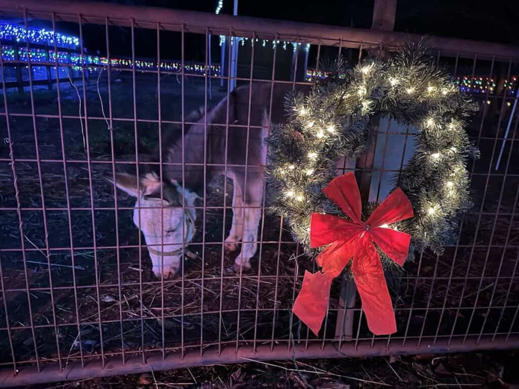 Christmas on the Farm