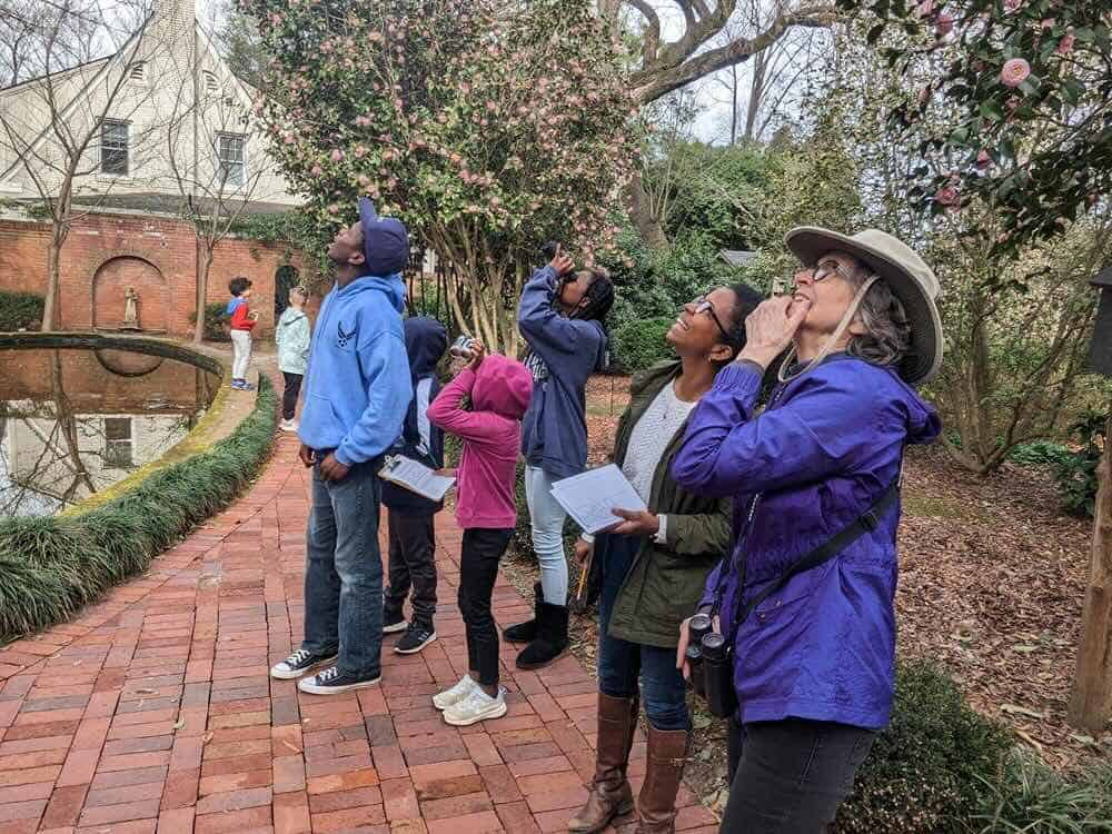 group of people looking at birds