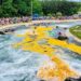 yellow rubber ducks floating down whitewater channel in Charlotte