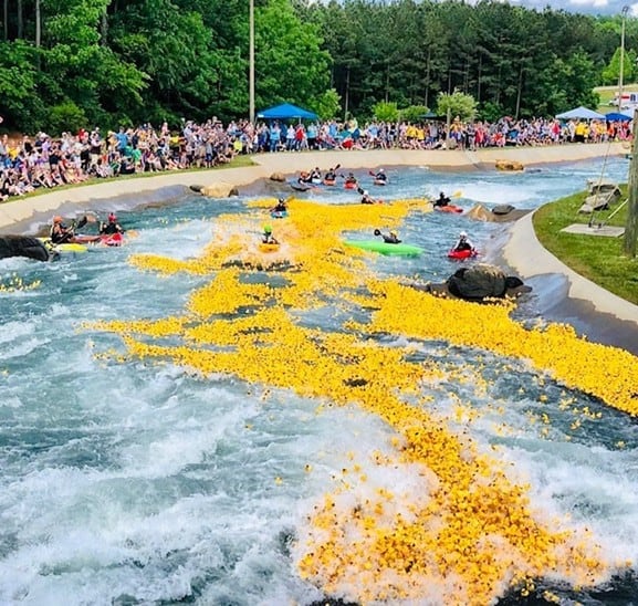 yellow rubber ducks floating down whitewater channel in Charlotte
