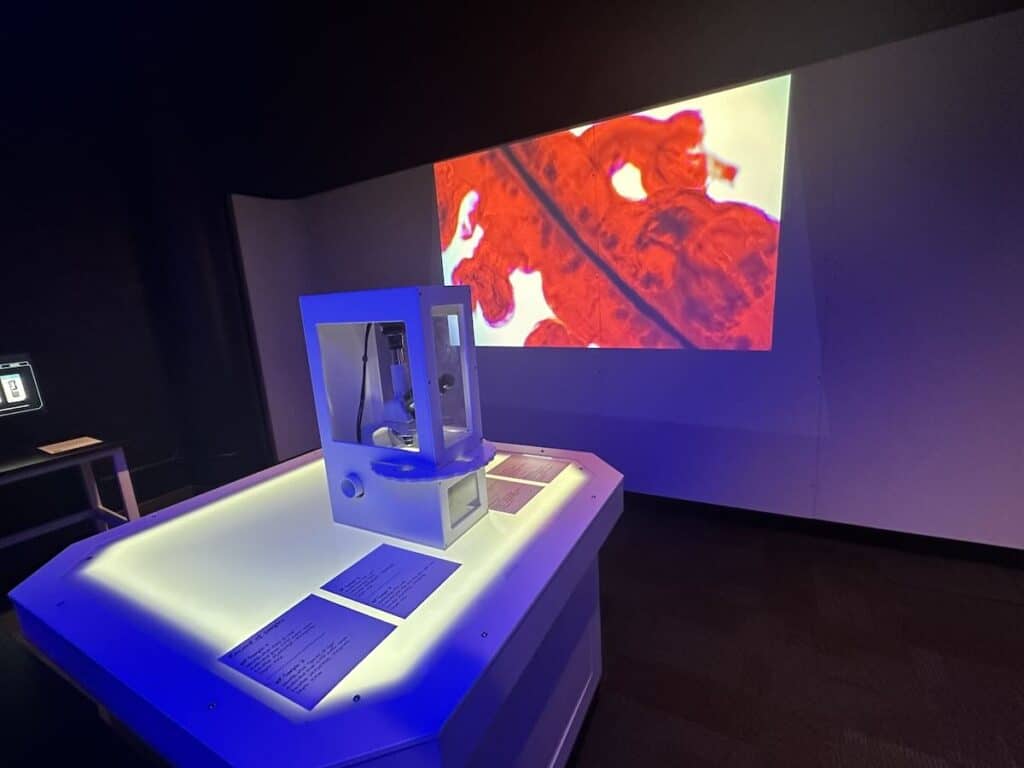 Projection microscope at OceanXperience at Discovery Place Science