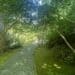 Harwood Garden, UNC Charlotte