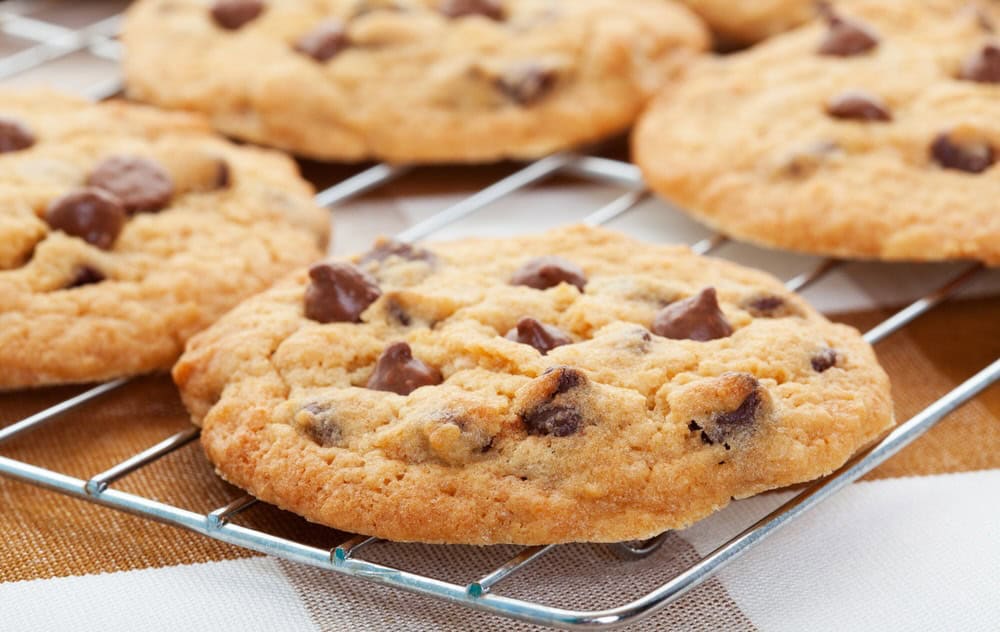 Homemade chocolate chip cookies