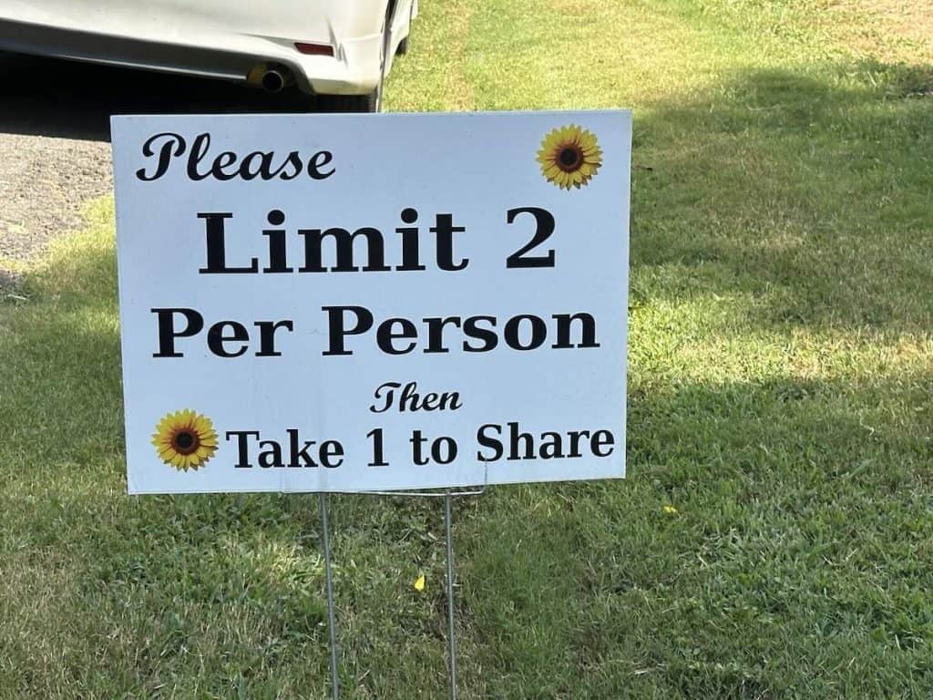 sign at sunflower field