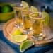 Tequila shots with wedges of lime and salt
