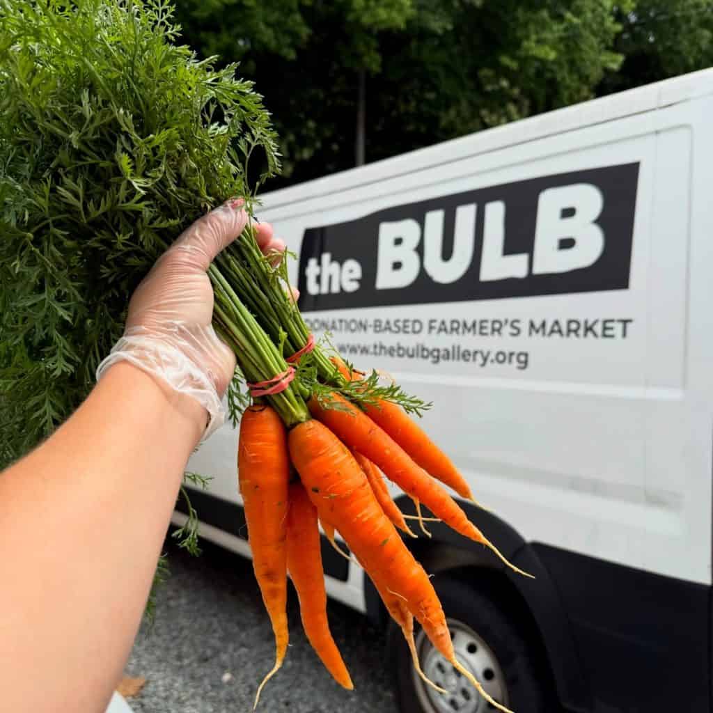 bunch of carrots held in front of the bulb van