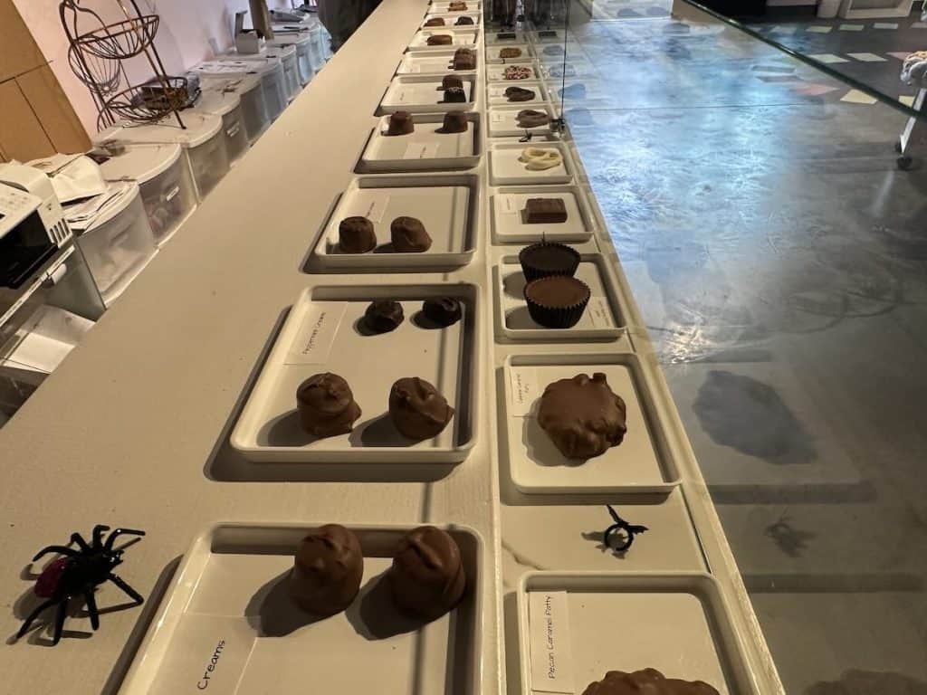 chocolates in candy store