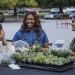 women creating garden terrariums