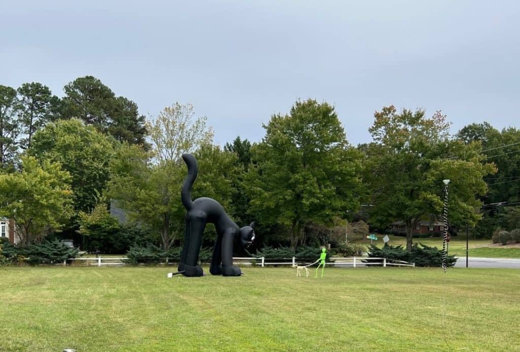 Giant inflatable black cat