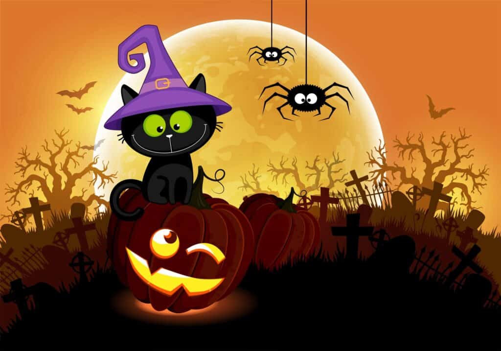 Halloween night background. Black cat and pumpkin in the cemetery. Hand drawing cartoon illustration
