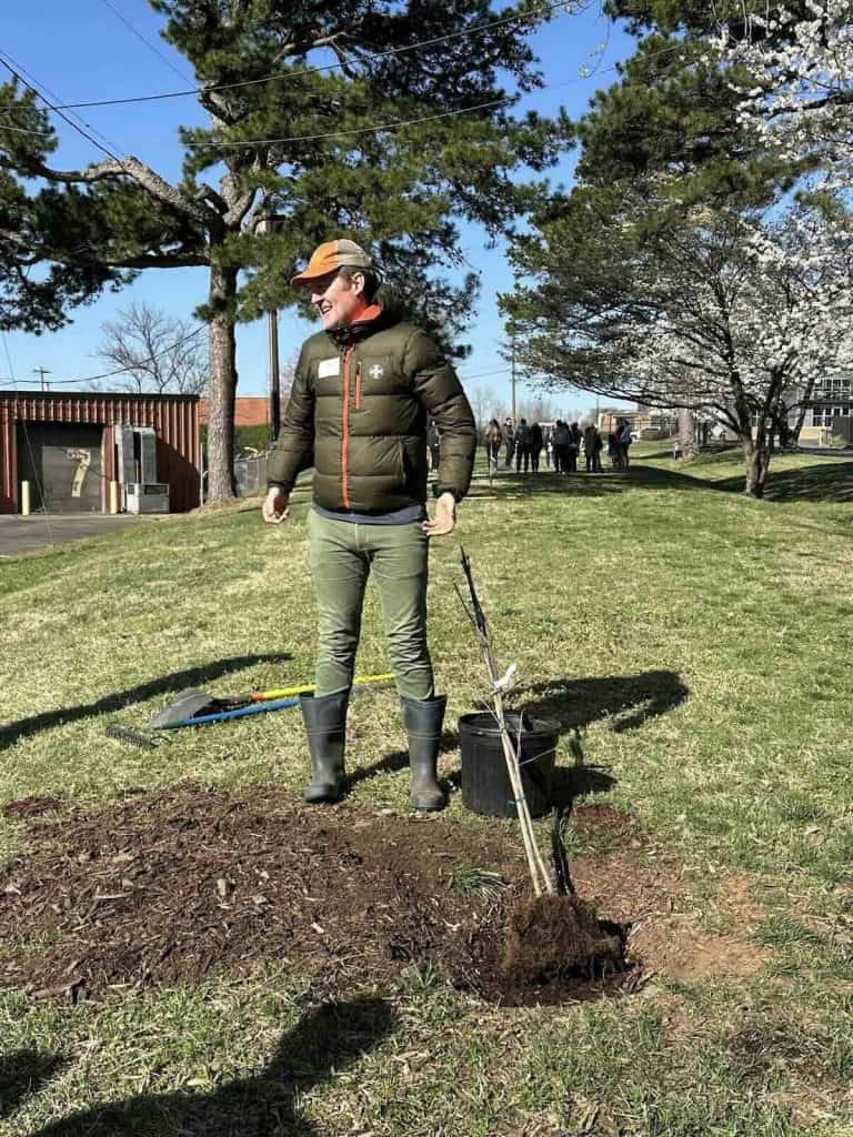 Tree planting instruction