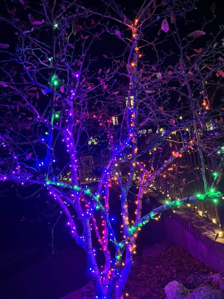 Holidays at the Garden