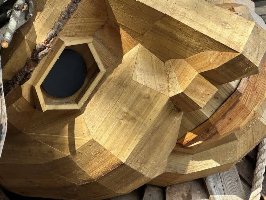 Closeup of Dambo Troll face in Charlotte