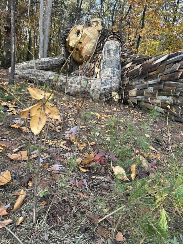 Dambo Troll through vegetation