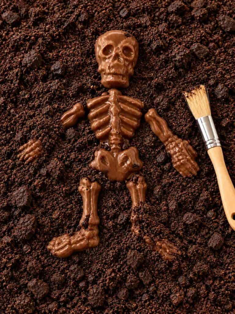 chocolate skeleton