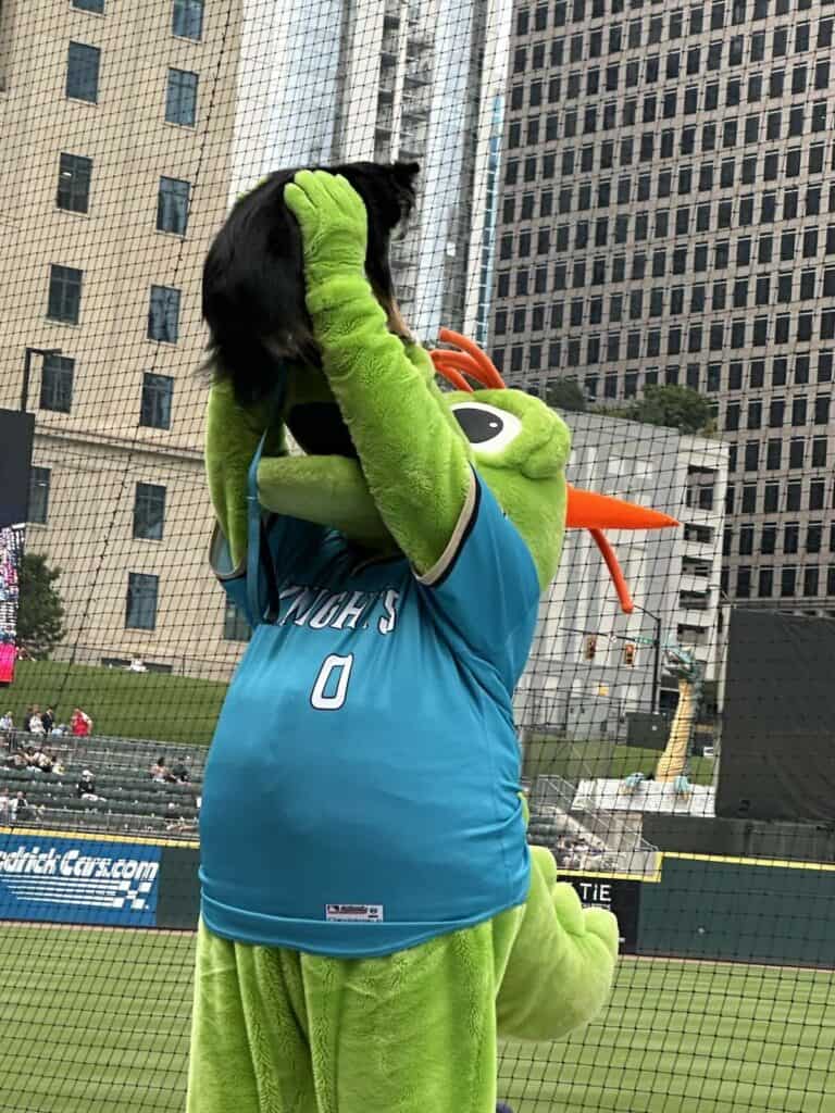 Homer and dog at Charlotte Knights game