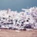 Paper cut into tiny pieces by cross shredder