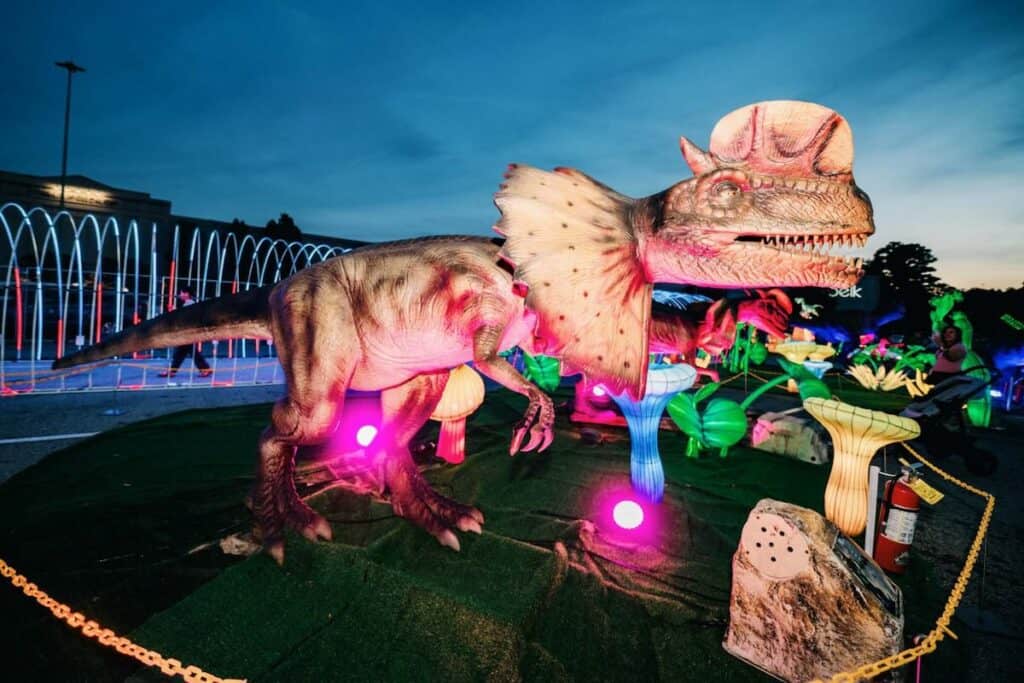 Dino Safari