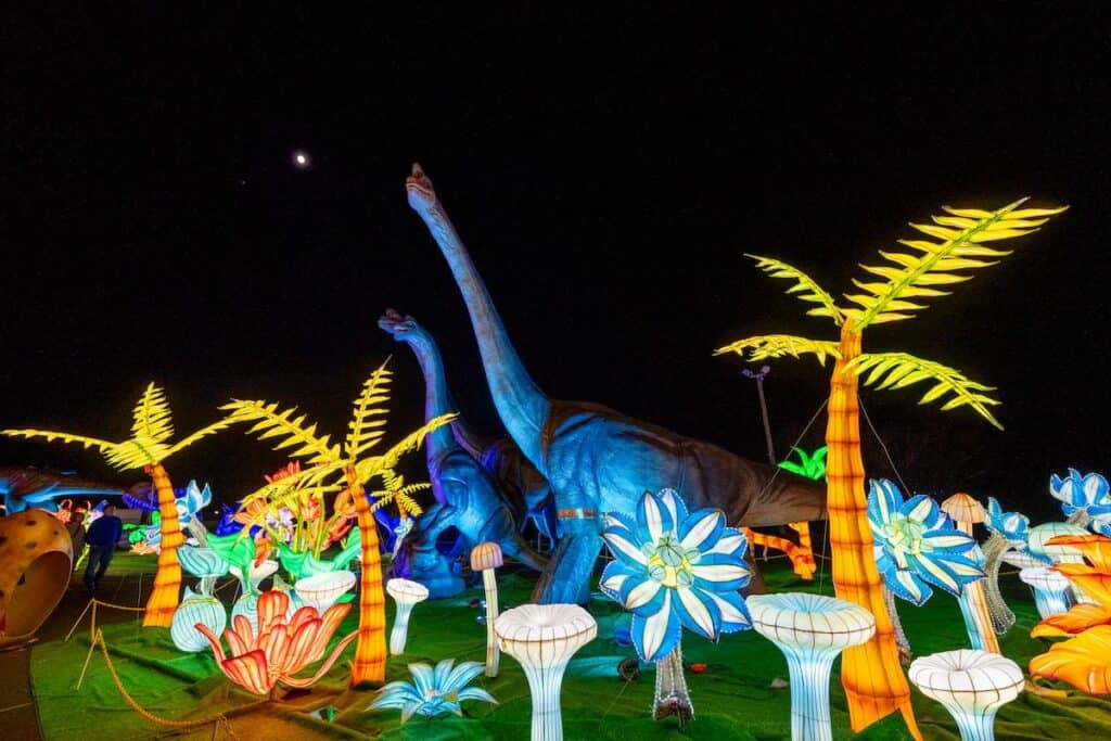 Dino Safari