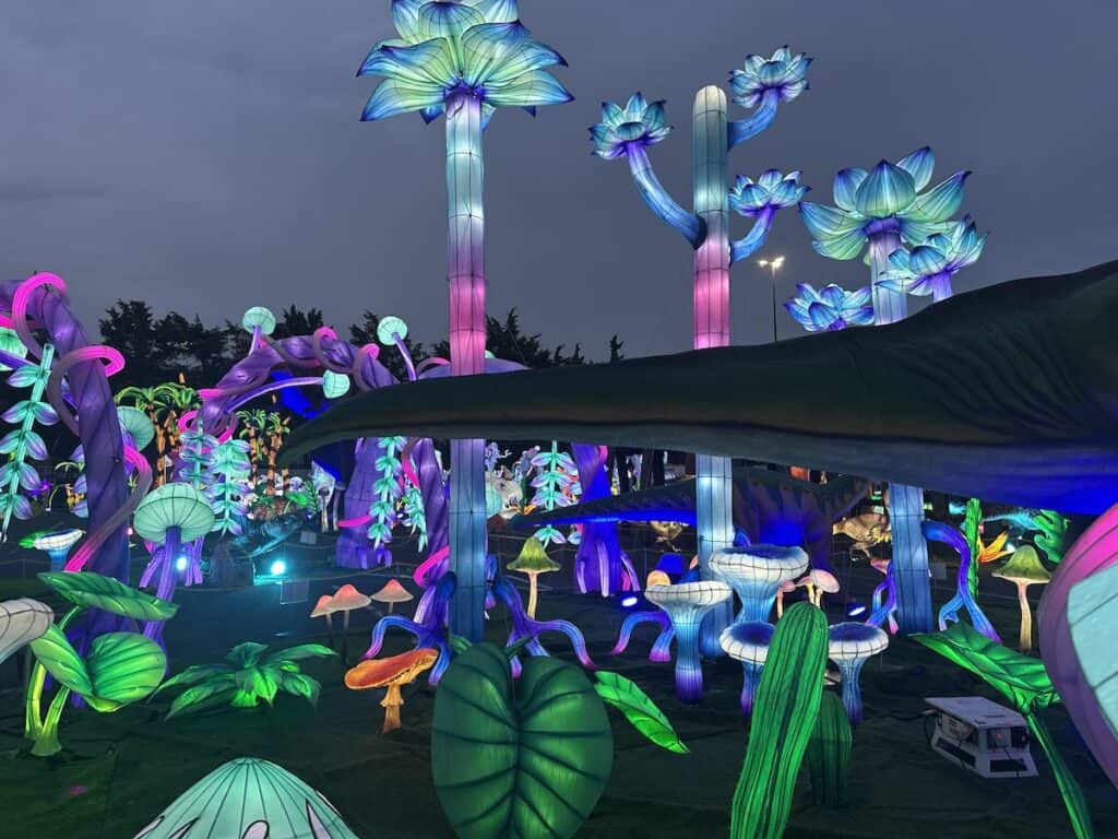 Illuminated inflatables at Dino Safari