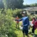 Blueberry picking at McLawland Farms