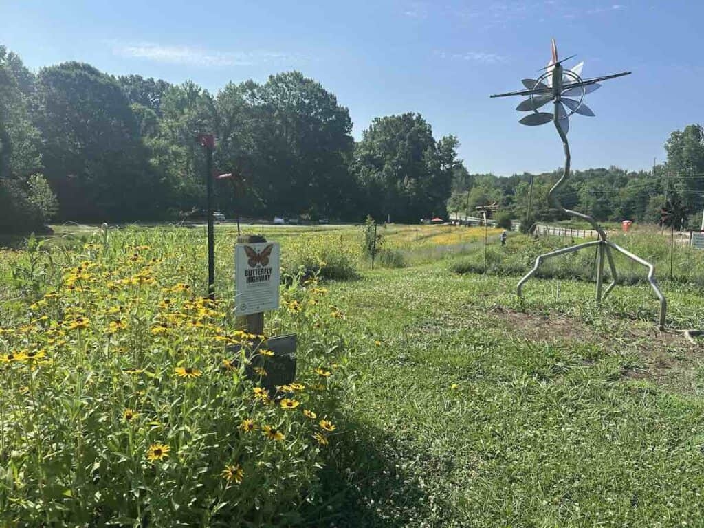 Flowers at McLawland Farms