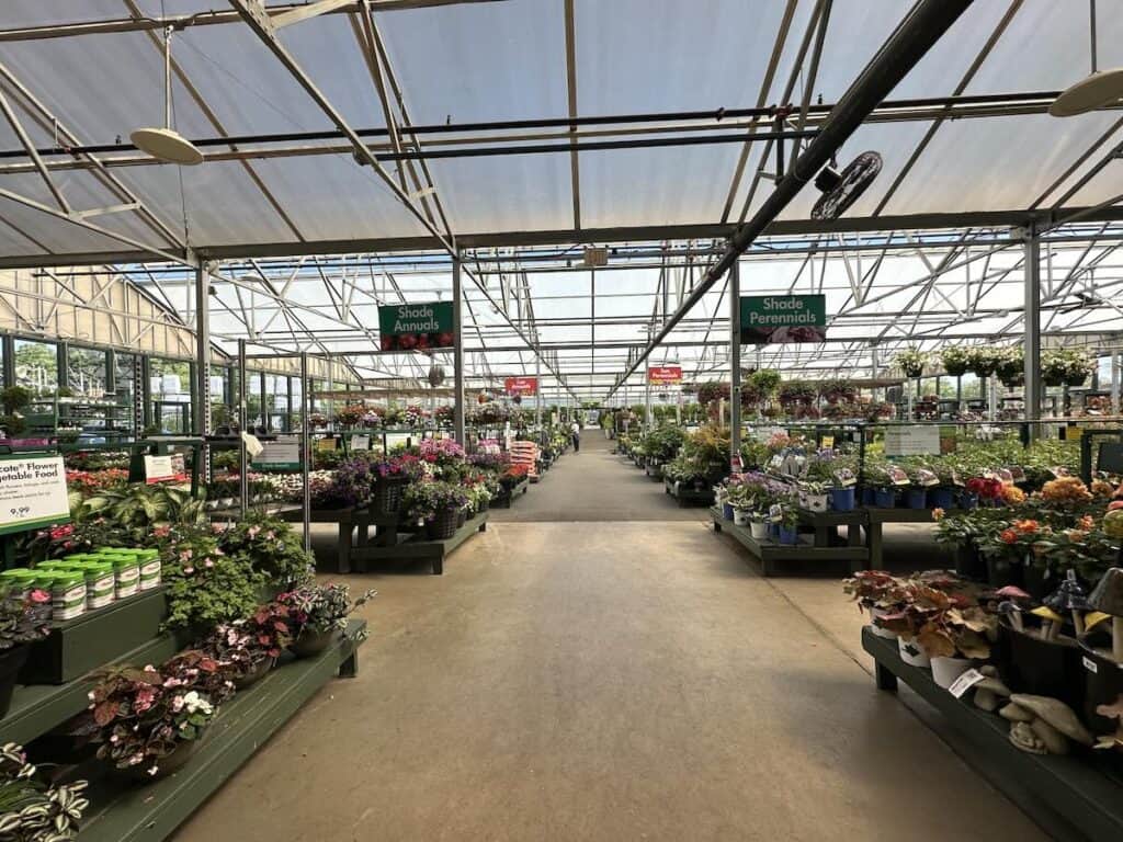 Greenhouse at Pike Nurseries