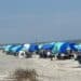 row of Shibumi Shades on beach in North Carolina