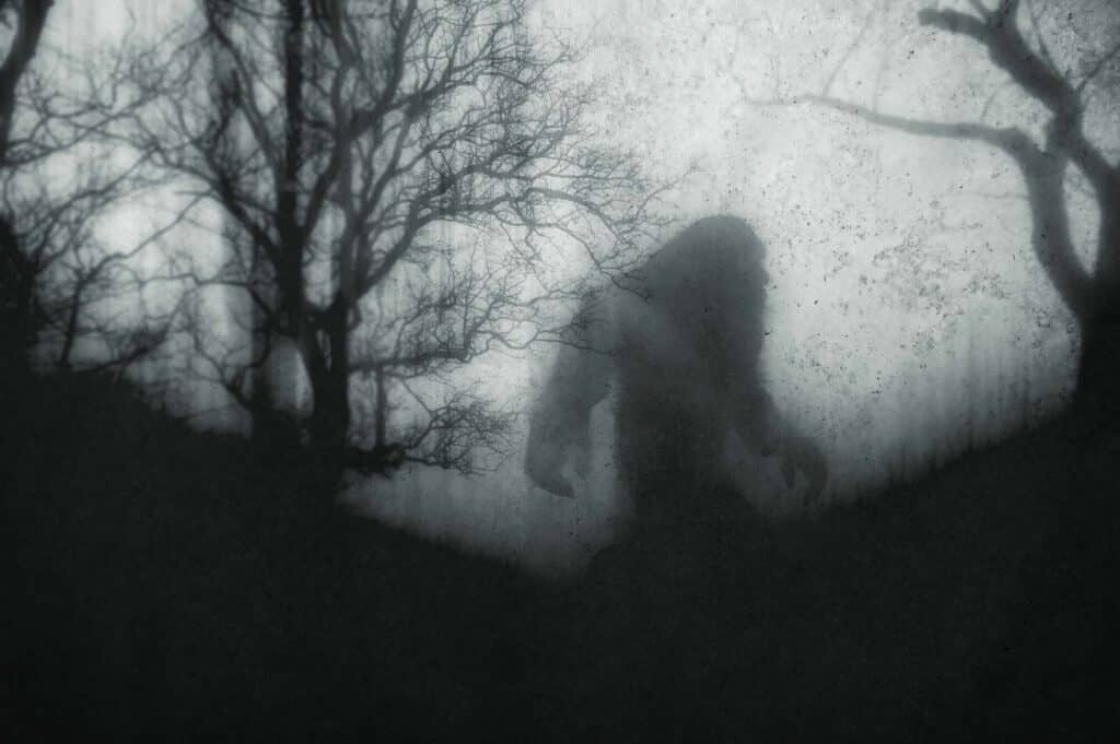 Illustration of Bigfoot-like creature walking in the woods at night