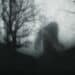 Illustration of Bigfoot-like creature walking in the woods at night