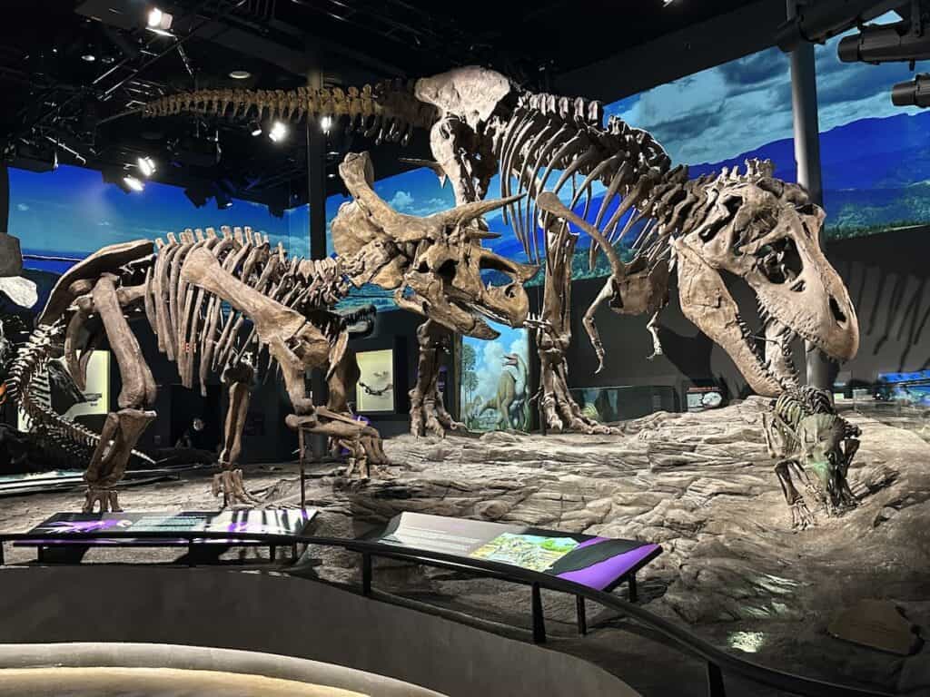 Hall of Dinosaurs at The Schiele Museum