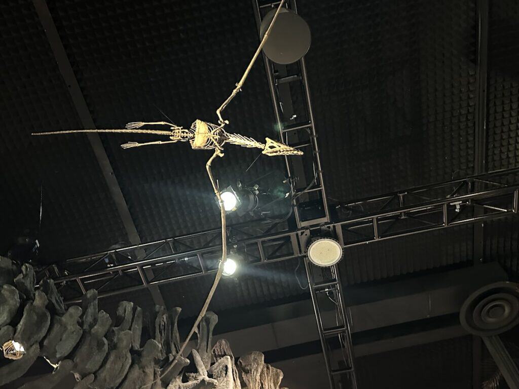 Hall of Dinosaurs at The Schiele Museum