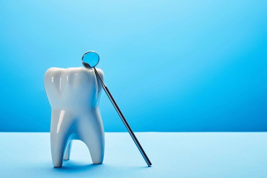 model of tooth