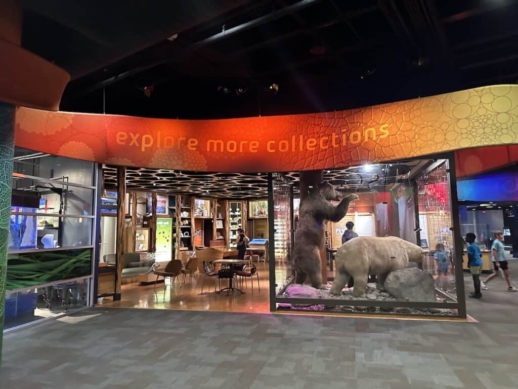 interior of Discovery Place Science
